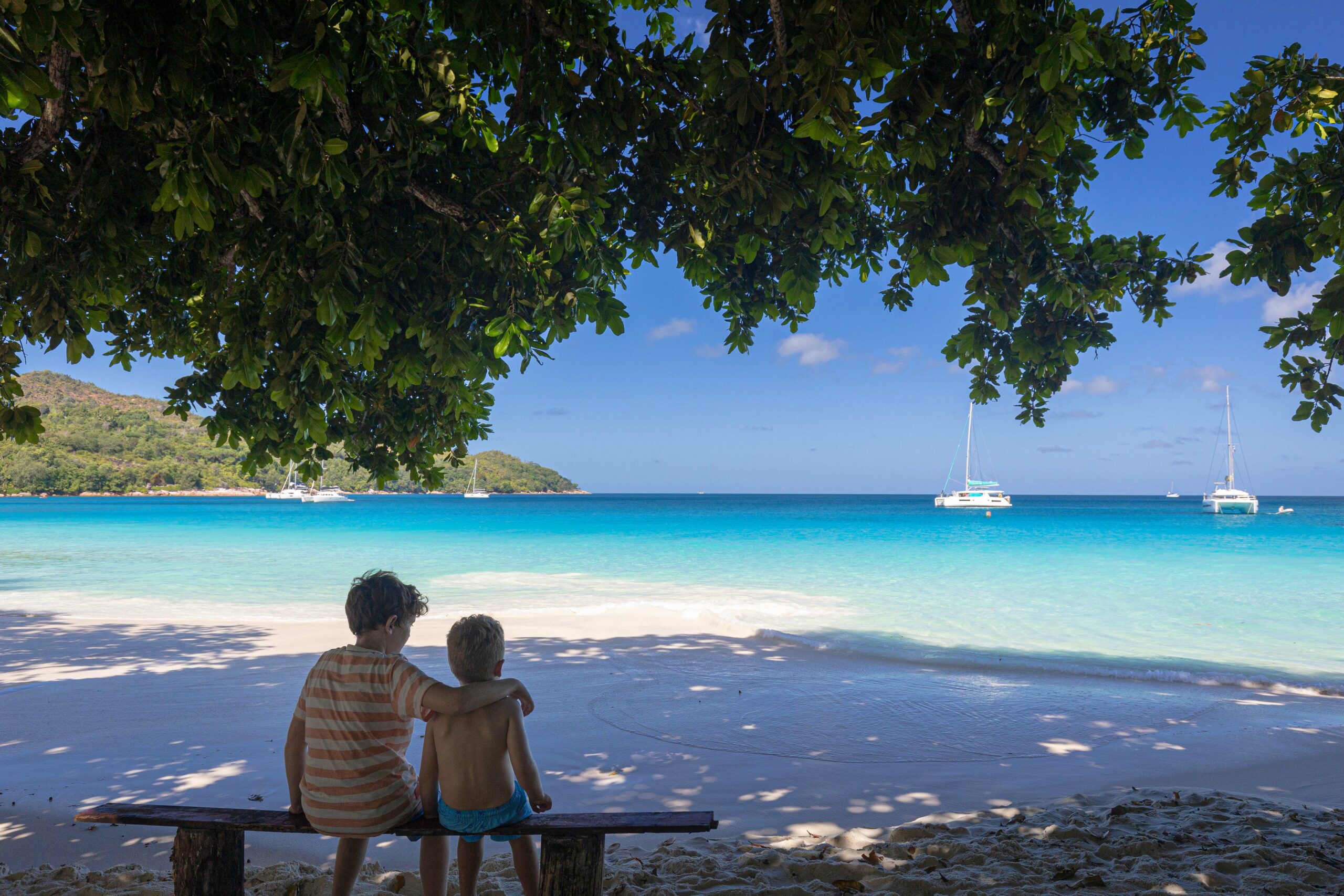 La Cigale - Expérience