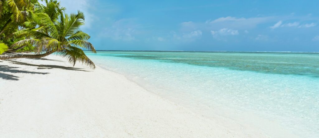 Pristine beach with turquoise waters